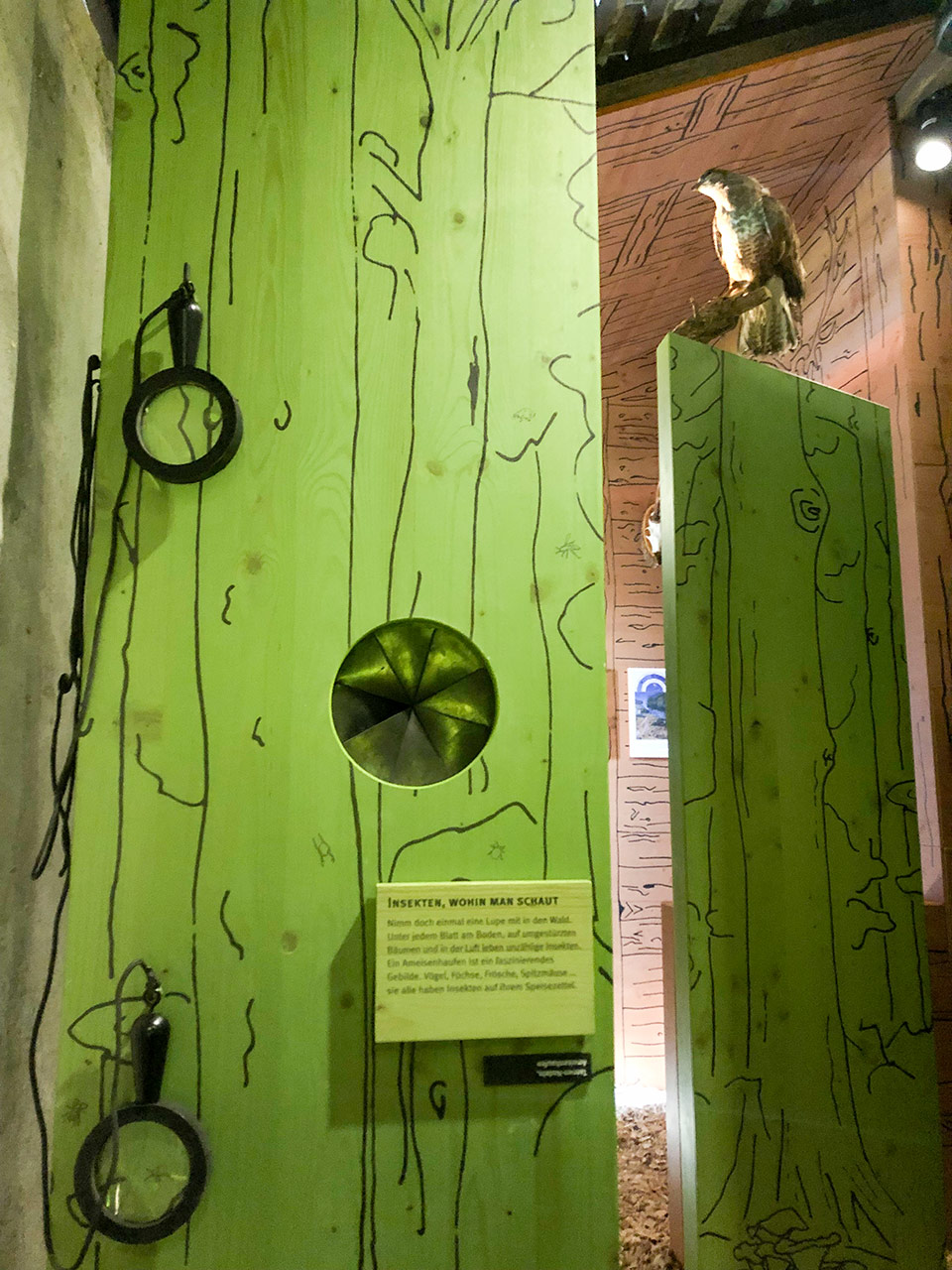 Museen-Ausstellungen - Ausstellung Jagd Wild Wald Schloss Wildegg