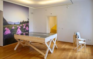 Museen-Ausstellungen - Vergangenheit im Vorgarten