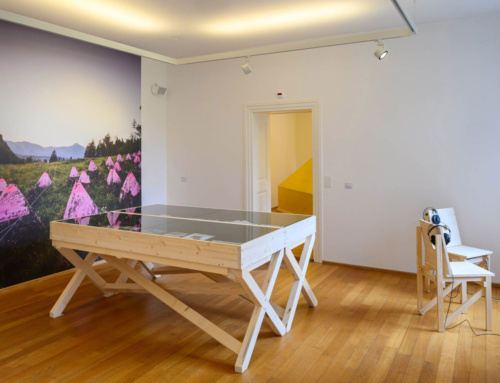 Ausstellung Relikte im Vorgarten